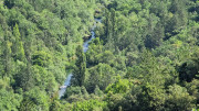 VIS_23_06-15
