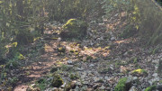 VIS_23_06-23