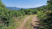 VIS_23_06-33