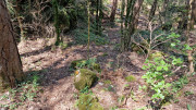VIS_23_06-35