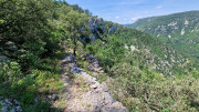 VIS_23_06-41