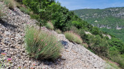 VIS_23_06-47