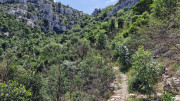 VIS_23_06-51