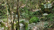 VIS_23_06-58