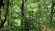 VIS_23_06-60