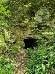 VIS_23_06-67