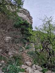 MONTHAUT_23_04-63
