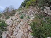 MONTHAUT_23_04-66