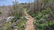 Peyre_23_05-100
