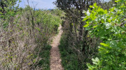Peyre_23_05-101