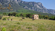 Peyre_23_05-11
