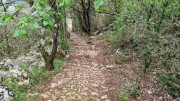 Peyre_23_05-125