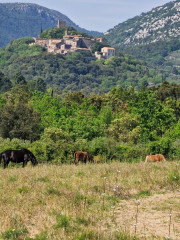 Peyre_23_05-14