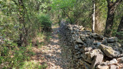 Peyre_23_05-16