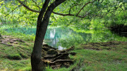 Peyre_23_05-2