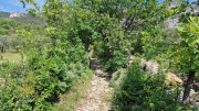 Peyre_23_05-25