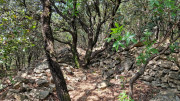 Peyre_23_05-28