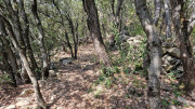 Peyre_23_05-29