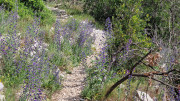 Peyre_23_05-37