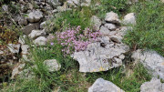 Peyre_23_05-59