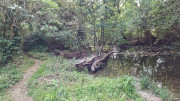 Peyre_23_05-6