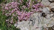 Peyre_23_05-60