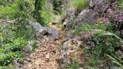 Peyre_23_05-61