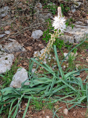Peyre_23_05-63