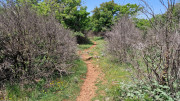 Peyre_23_05-64