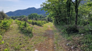 Peyre_23_05-7