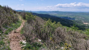 Peyre_23_05-71