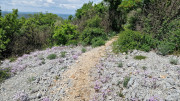 Peyre_23_05-72