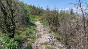 Peyre_23_05-74