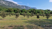 Peyre_23_05-8