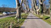 Villeneuvette_23_02-1