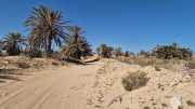 Djerba_Lac_Sale_23_03-35