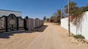 Djerba_Lac_Sale_23_03-40