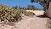 Djerba_Lac_Sale_23_03-54