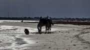 Djerba_Lac_Sale_23_03-6