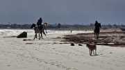 Djerba_Lac_Sale_23_03-8