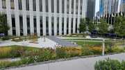 J09_CHICAGO-136