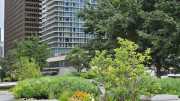 J09_CHICAGO-140