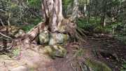 Upper_Peninsula-4