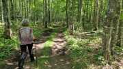 Upper_Peninsula-41