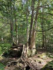 Upper_Peninsula-5