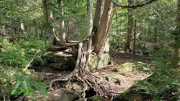 Upper_Peninsula-6