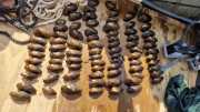 Moules-34