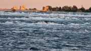 Niagara_J5-20