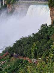 Niagara_J5-25