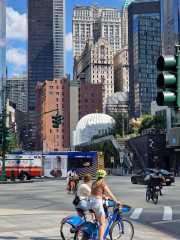 NY_01-3-29